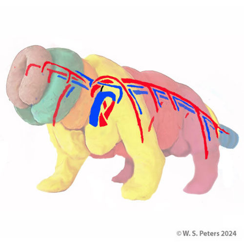 cardio-virtual-creature-03