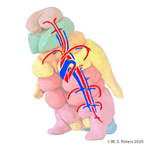 cardio-virtual-creature-04