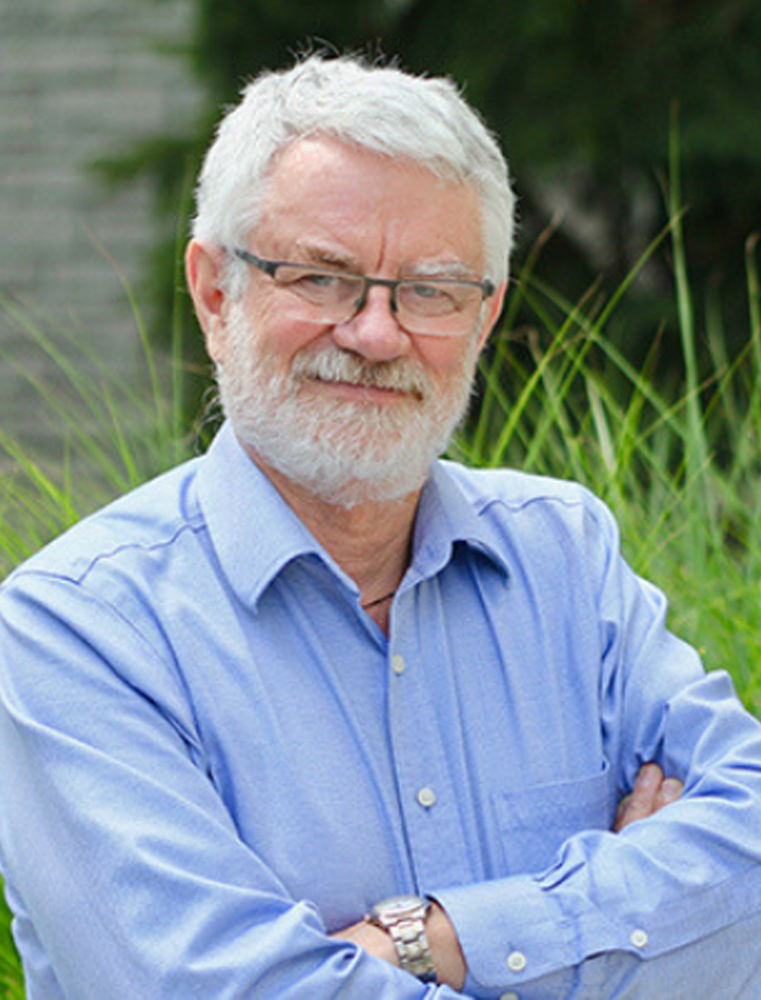 Emeritus Professor Terry Peters